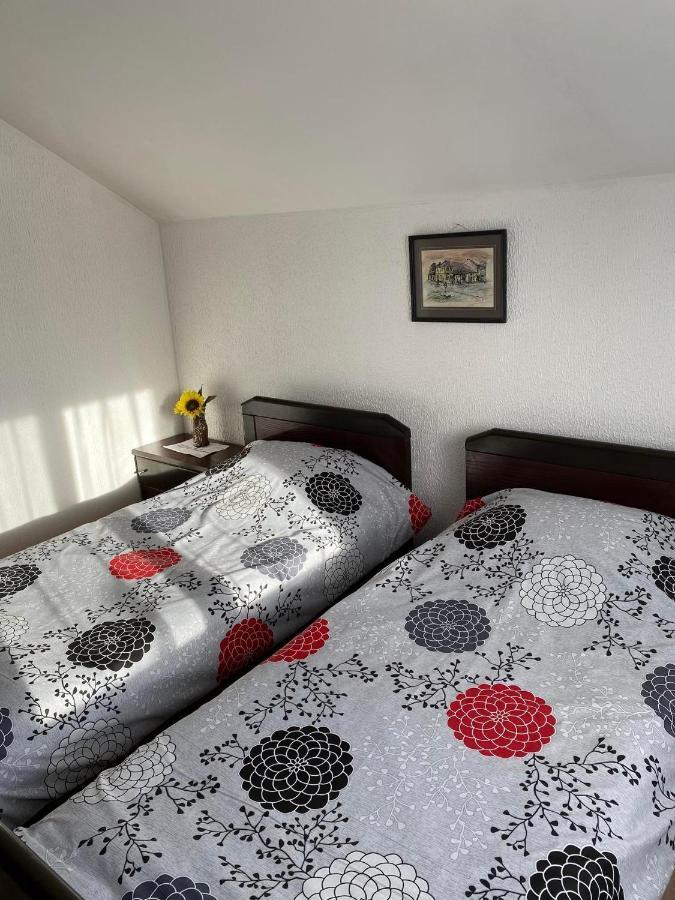 Micin Dom Apartment Pirot Bagian luar foto